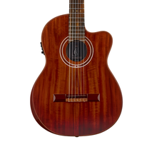 Guitarra Electroacústica - Incluye estuche
