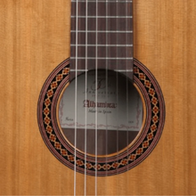 Guitarra Clásica Iberia Ziricote