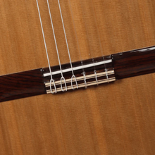 Guitarra Clásica Iberia Ziricote