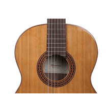Guitarra Clásica Iberia Ziricote