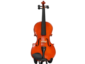 Viola 14 Plg